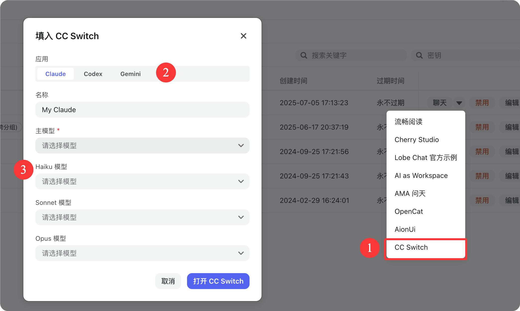 CC Switch Configuration Dialog